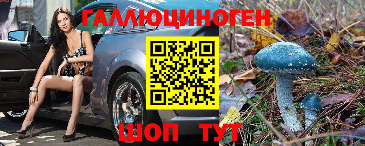 Галлюциногенные грибы прущие грибы  продажа наркотиков  Вязьма  Вход с VPN 